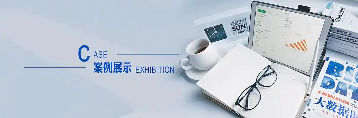 波密县软件开发